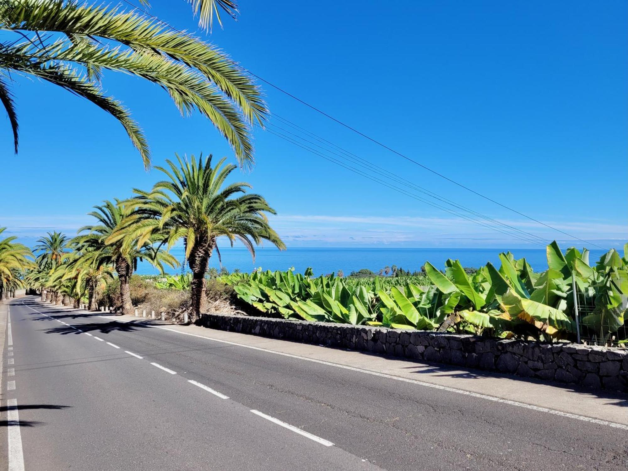 Casa Rural - Playa. Situada En Un Entorno Natural. La Orotava Exteriör bild